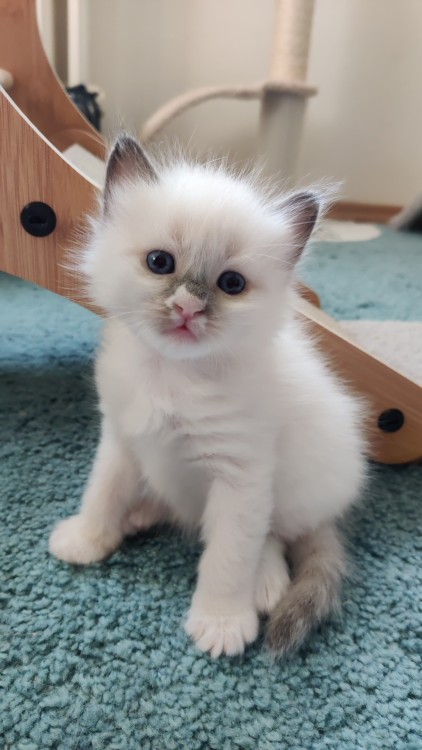 Jimmy